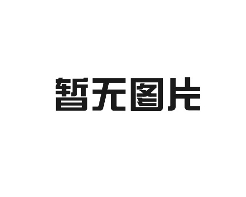 重點(diǎn)補(bǔ)充下旋片真空泵機(jī)組機(jī)械密封檢查的常識(shí)